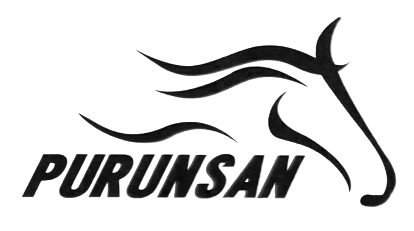 Purunsan
